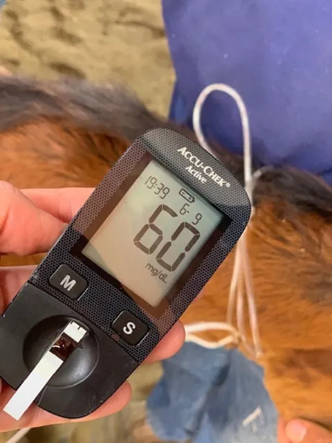 Avaliação glicêmica em neonato